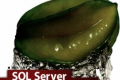 SQL Server 2008 中文版标准教程PDF下载