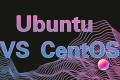 CentOS 与 Ubuntu:哪个更适合做服务器?