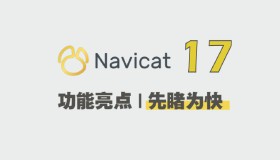 Navicat Premium 16、17 破解版激活详细教程 Navicat Premium 16、17 破解版激活详细教程