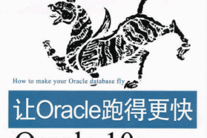 让Oracle跑得更快 Oracle 10g性能分析与优化思路 PDF下载缩略图