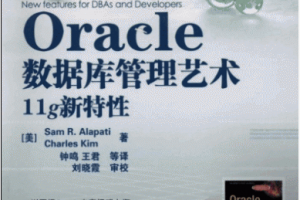 Oracle数据库管理艺术：11g新特性PDF扫描版下载缩略图