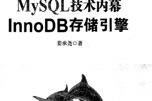 MySQL技术内幕：InnoDB存储引擎-姜承尧.pdf高清下载缩略图