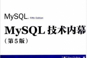 MySQL技术内幕 PDF下载缩略图