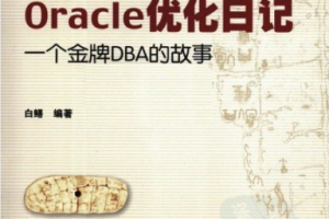 Oracle优化日记：一个金牌DBA的故事 PDF下载缩略图