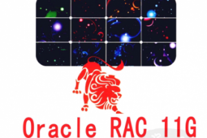 Oracle RAC 11g实战指南 PDF高清下载缩略图