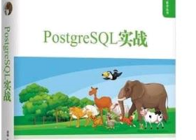 PostgreSQL实战 (谭峰等著)  pdf下载缩略图