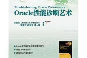 Oracle性能诊断艺术 pdf扫描版 完整版下载缩略图