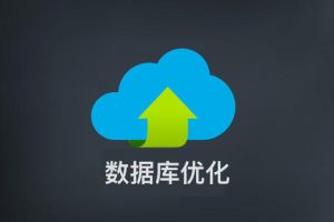 数据库索引设计与优化 完整版 中文pdf下载缩略图