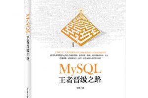 MySQL王者晋级之路 pdf下载缩略图