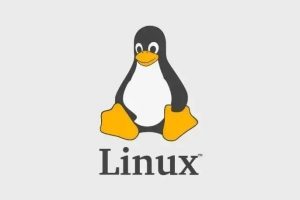 Linux 命令 su 和 sudo 的区别缩略图