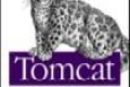 Tomcat权威指南(第2版) PDF下载