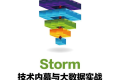 Storm技术内幕与大数据实践 PDF下载