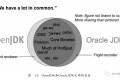 Oracle JDK 和 OpenJDK 有什么区别?