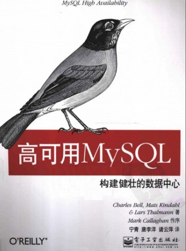 高可用MySQL：构建健壮的数据中心 PDF下载