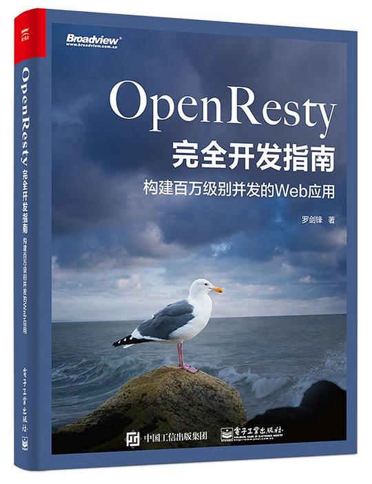 OpenResty完全开发指南：构建百万级别并发的Web应用 PDF下载