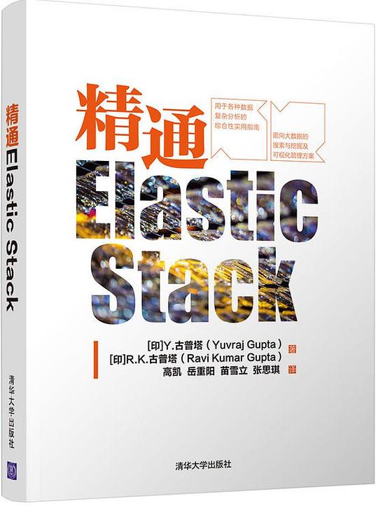 精通Elastic Stack PDF下载