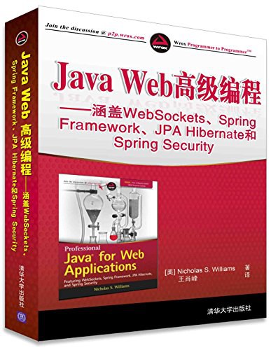 Java Web高级编程：涵盖WebSockets、Spring Framework、JPA Hibernate和Spring Security PDF下载