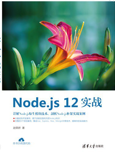 Node.js 12实战 PDF下载