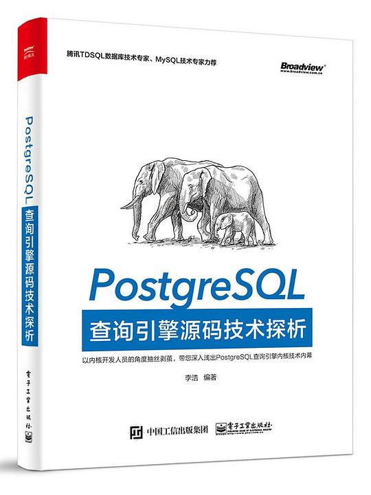 PostgreSQL查询引擎源码技术探析 PDF下载