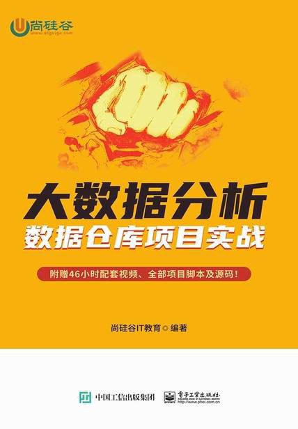 大数据分析：分析仓库项目实战 PDF下载