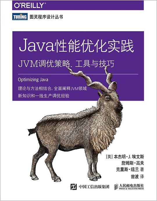 Java性能优化实践：JVM调优策略、工具与技巧 PDF下载
