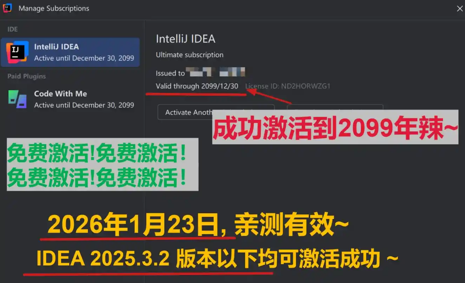 IntelliJ IDEA 2025.3.2 最新破解版安装教程（亲测至2099年~）