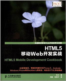 HTML5高级程序设计 PDF下载