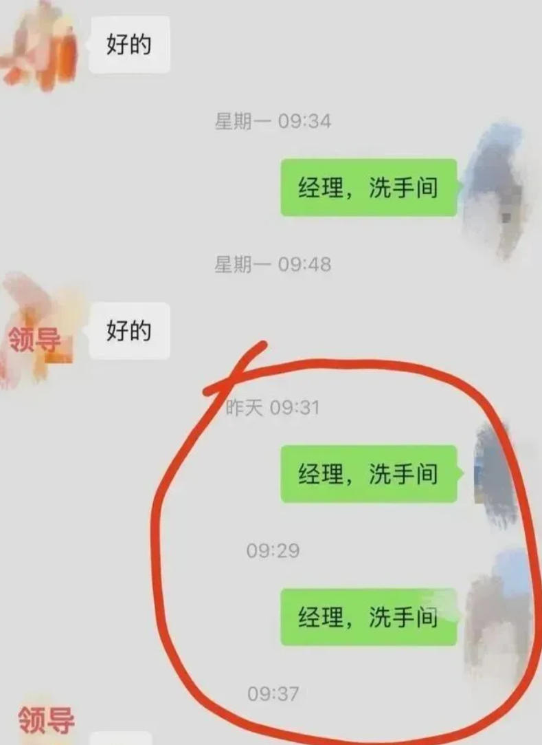 上班,给老板”拉屎报备”的第13天 上班,给老板”拉屎报备”的第13天